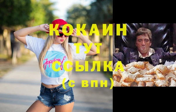 индика Сатка