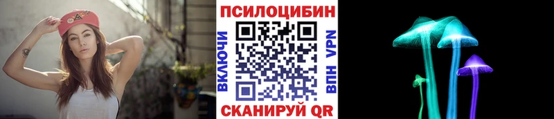 где продают Гороховец Псилоцибиновые грибы Cubensis